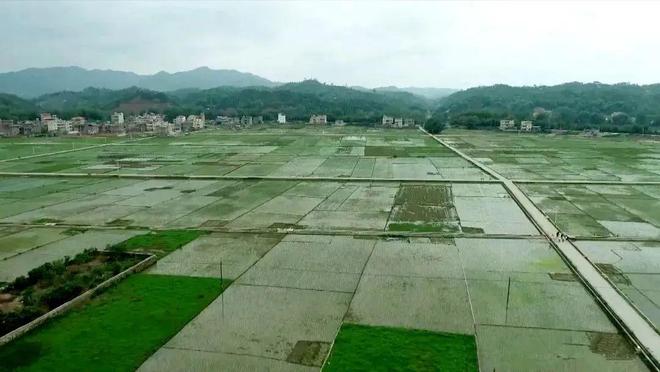 Kaiyun 开云体育刚刚!央视直播河源足足5分钟!(图3) Kaiyun 开云体育刚刚!央视直播河源足足5分钟!(图3)