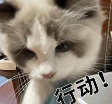 盘点14个能赚钱的自媒体Kaiyun 开云体育平台靠发文章视频就可以赚钱(图3)