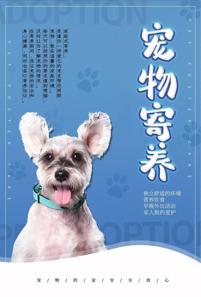 盘点10Kaiyun 开云体育个正规靠谱的在线兼职副业这个暑假赚钱也可以足不出户！(图11)