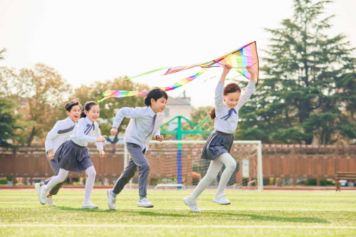 空格教育：软考即将进入报考季考证入Kaiyun 开云体育户该报名哪一科？(图2)