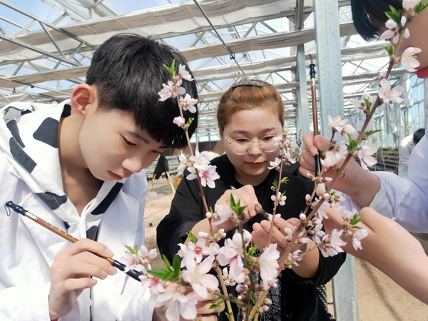 高位推动、突出特色 黑龙江省职业教育驶入发展“快车道”开云 开云体育平台(图3) 高位推动、突出特色 黑龙江省职业教育驶入发展“快车道”开云 开云体育平台(图3)