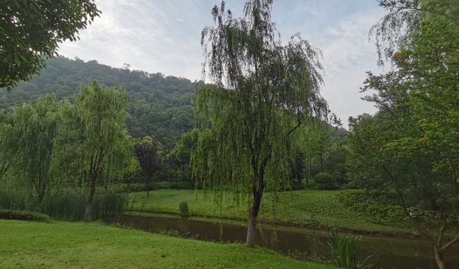 开云APP 开云官网入口广东石油化工学院毕业生称学文的学生不建议报就业不怎么样(图2) 开云APP 开云官网入口广东石油化工学院毕业生称学文的学生不建议报就业不怎么样(图2)