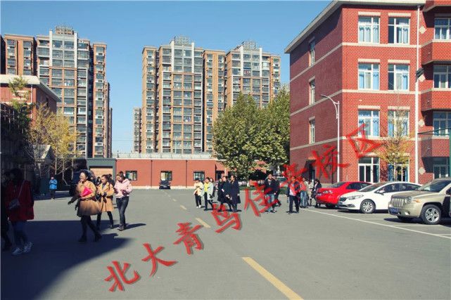 北开云APP 开云官网入口大青鸟：计算机哪个专业最吃香(图3)