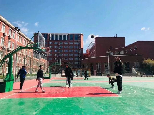 北开云APP 开云官网入口大青鸟：计算机哪个专业最吃香(图1)