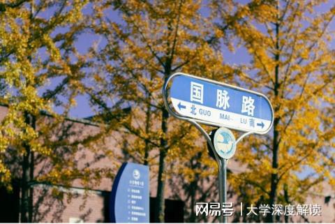 开云 开云体育平台北京邮电大学环境怎么样？就业环境持续向好(图1)