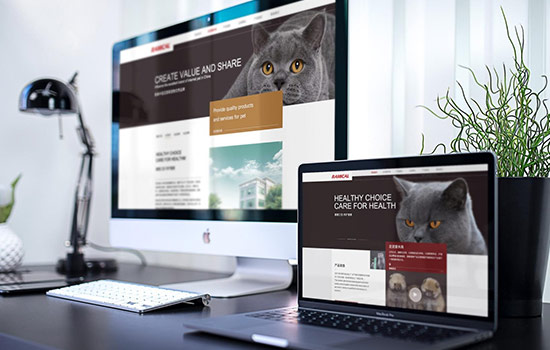 开云 开云体育官网计算机专业就业方向及前景(图2)