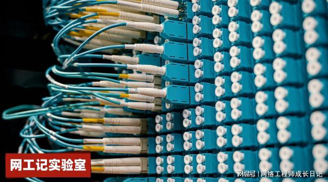 开云 开云体育官网网络工程师学习过程中最大的坑是什么(图7)