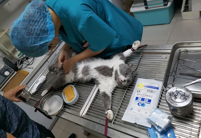 二本考生填报开云APP 开云官网入口:这8个专业就业竞争力强找工作相对容易(图4) 二本考生填报开云APP 开云官网入口:这8个专业就业竞争力强找工作相对容易(图4)