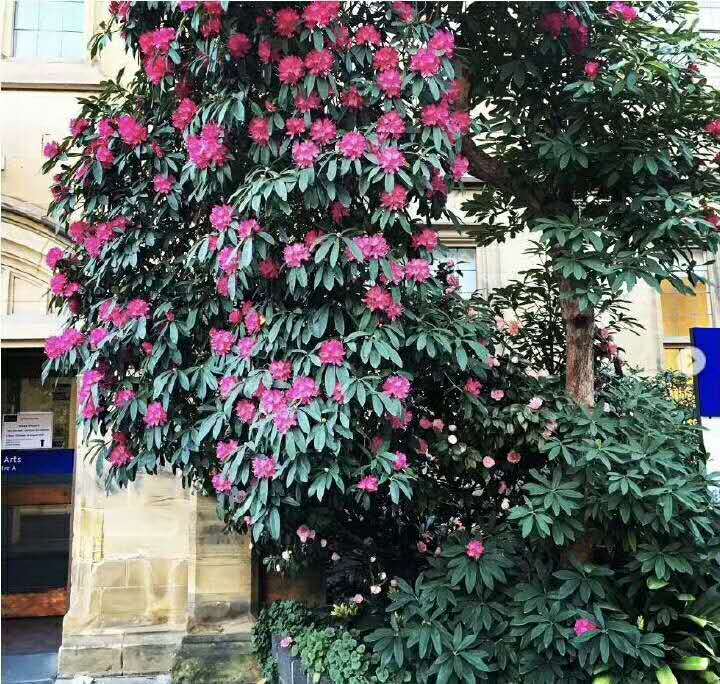 薪资高好就开云 开云体育平台业的专业——计算机专业(图1) 薪资高好就开云 开云体育平台业的专业——计算机专业(图1)