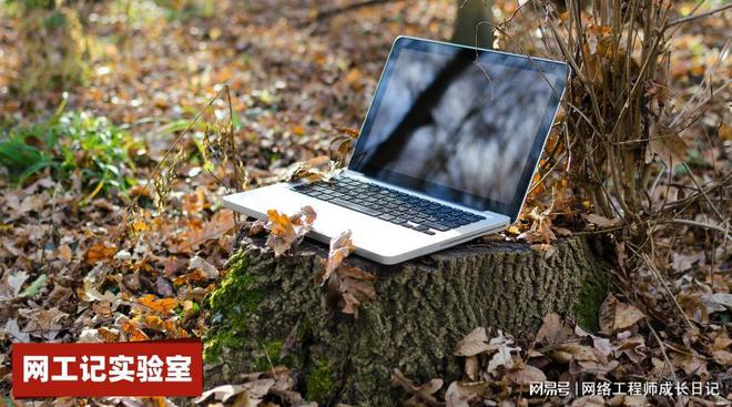Kaiyun 开云干弱电很迷茫怎么办(图3)